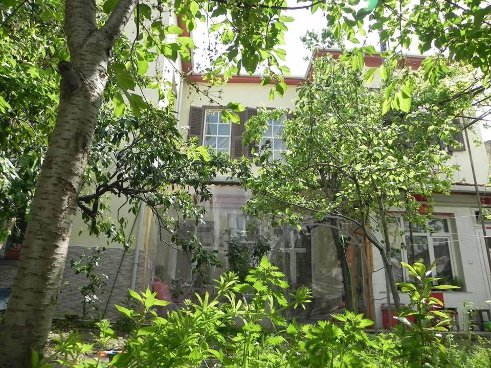Zahrada ubytování Lotus Garden Hostel Izmir