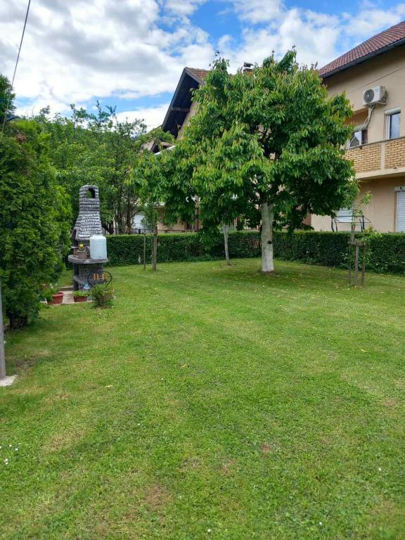 a yard with a tree and a building at Apartment Ramdedovic1 in Sarajevo