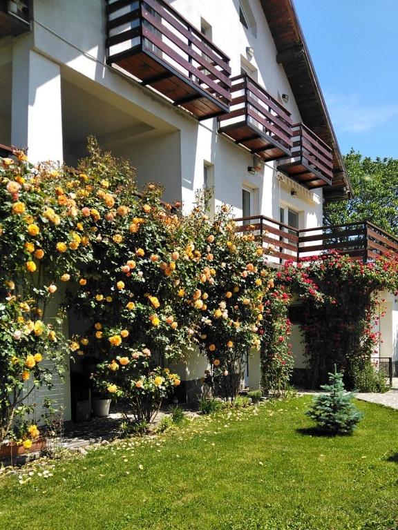 a building with a bunch of flowers in a yard at Vila Carpatina in Breaza