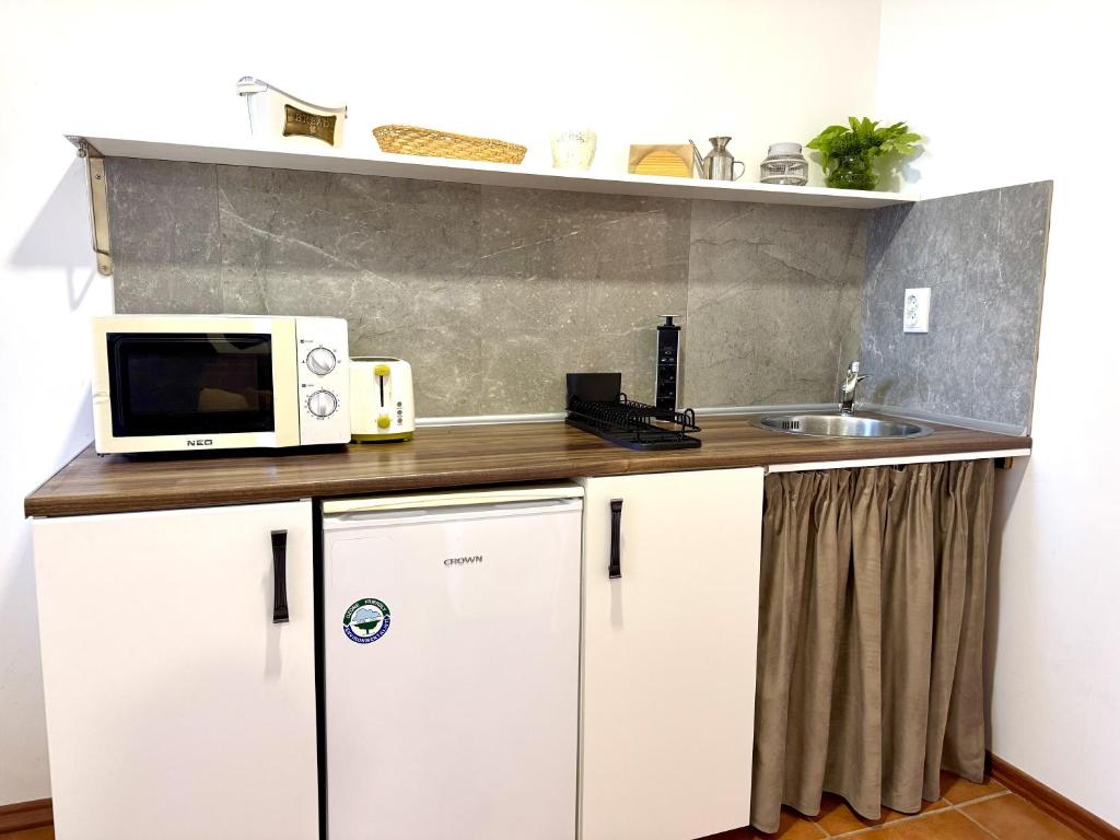 a kitchen counter with a microwave and a sink at Terra Massa in Sinemorets