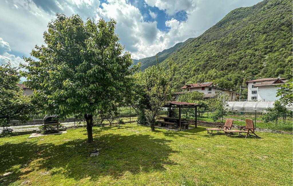 un'area picnic con un albero e un tavolo da picnic di Nice Apartment In Bagolino, Fraz Ponte a Ponte Caffaro