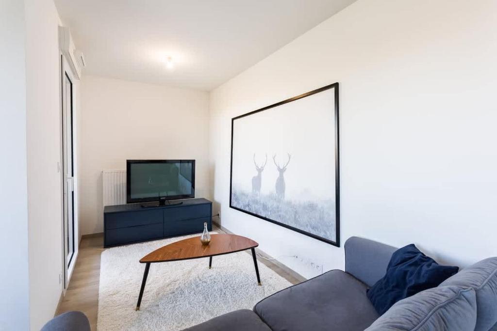 Televízia a/alebo spoločenská miestnosť v ubytovaní Le Rio, appartement avec terrasse & parking