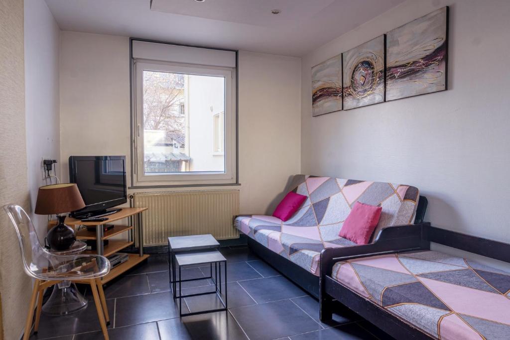 un salon avec un canapé et une télévision dans l'établissement Le Sans Soucis, à Colmar