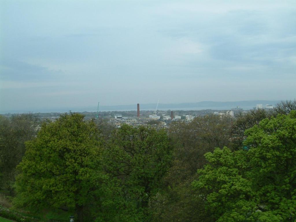 Terrace hotel - Resim 29