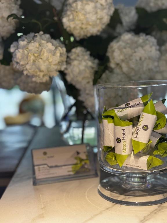 Abton Hotel - Resim 8