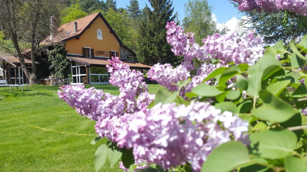 a house with purple flowers in front of a yard at Le Radici in Sassello