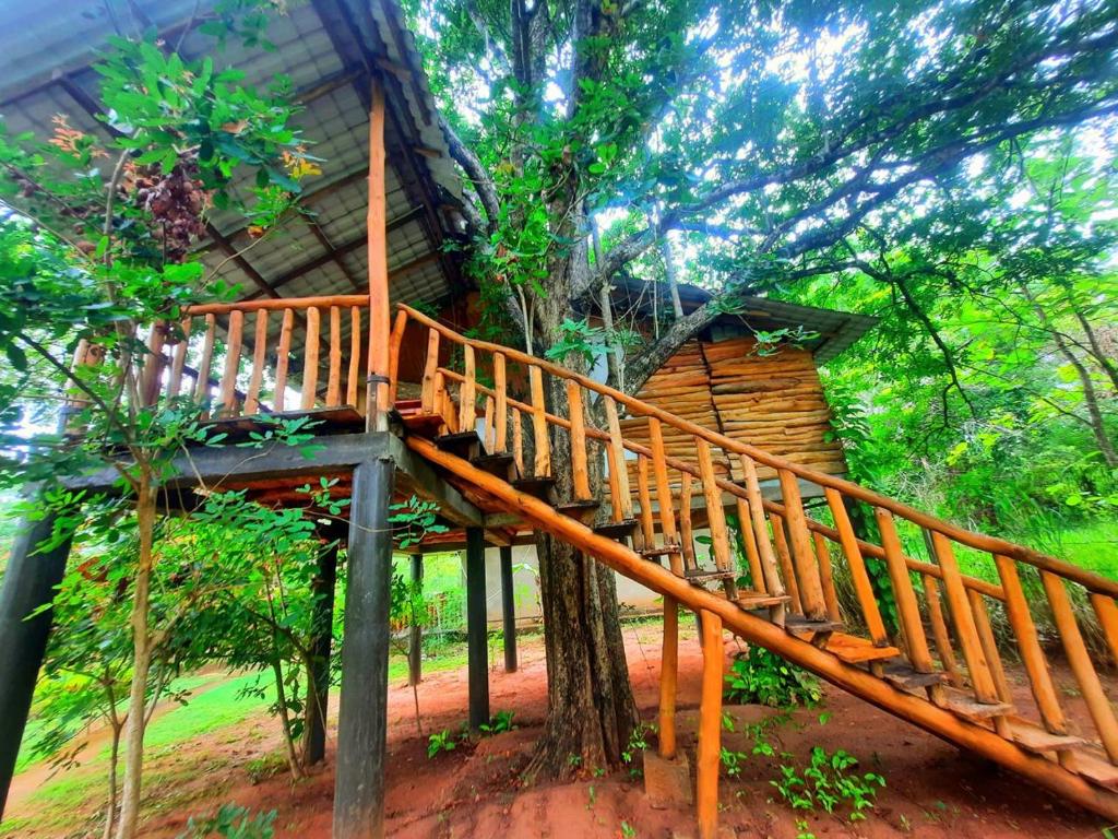 Zahrada ubytování Tree House 4 Nature Lovers