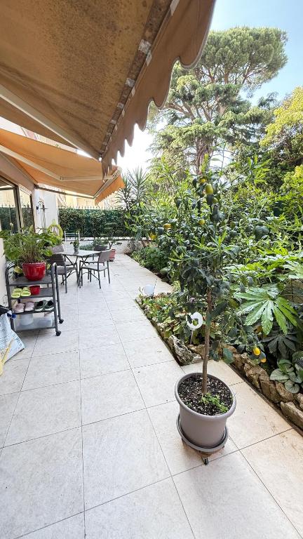 un pot dans un pot sur une terrasse dans l'établissement Studio basse californie cannes, à Cannes
