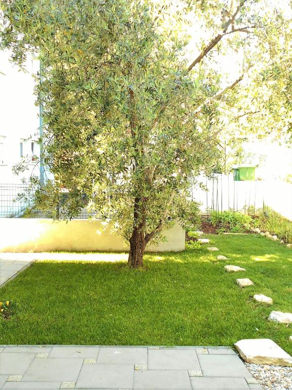 Ogród w obiekcie Apartments Doda