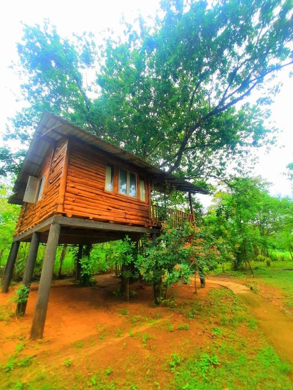 Zahrada ubytování Tree House 4 Nature Lovers