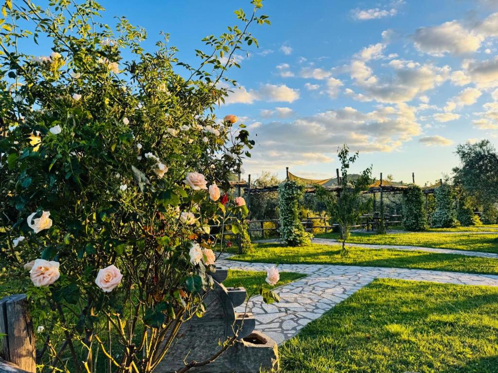 Zahrada ubytování Agriturismo La Terrazza su Farfa