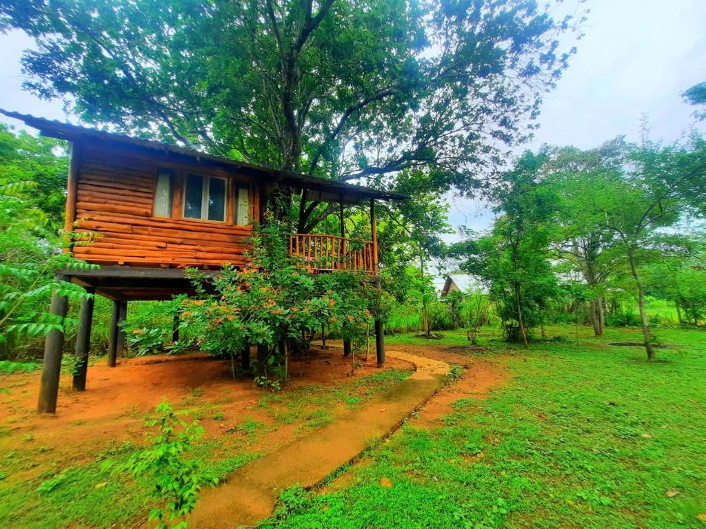 Zahrada ubytování Tree House 4 Nature Lovers