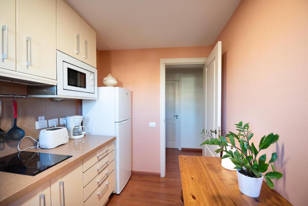 Kuchyňa alebo kuchynka v ubytovaní Luxury Country & Rural Villa Santa Brigida Las Palmas