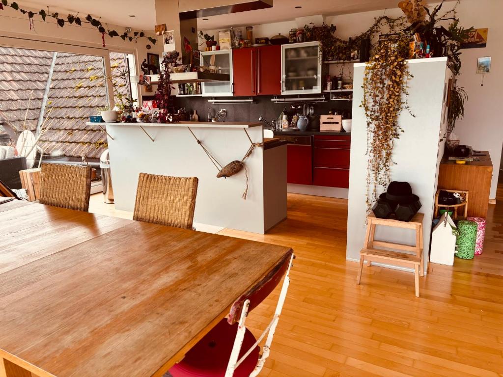 Kuchyň nebo kuchyňský kout v ubytování Loft Bottighofen
