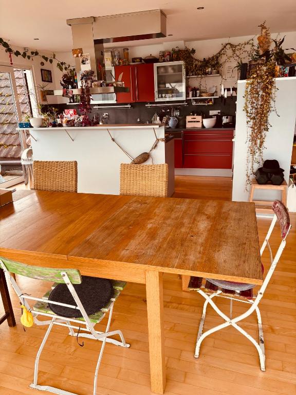Kuchyň nebo kuchyňský kout v ubytování Loft Bottighofen