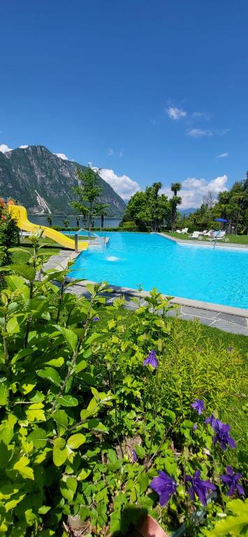a view of a pool of water with purple flowers at Tropical Art Apartment in Bissone