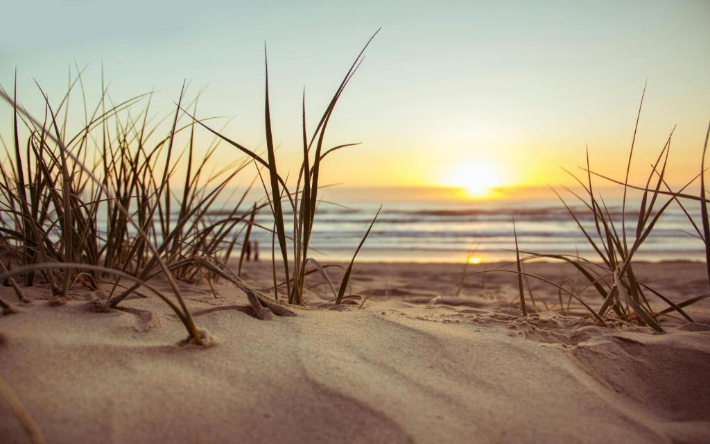 a sunset on a beach with grass in the sand at MEDIGREIF Elternhaus Setheweg GmbH in Heringsdorf