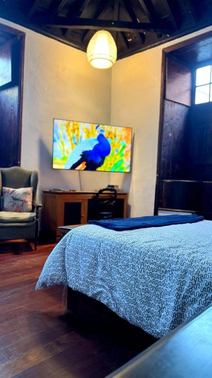 Posteľ alebo postele v izbe v ubytovaní Cozy studio in Garachico of 100 m² with city view