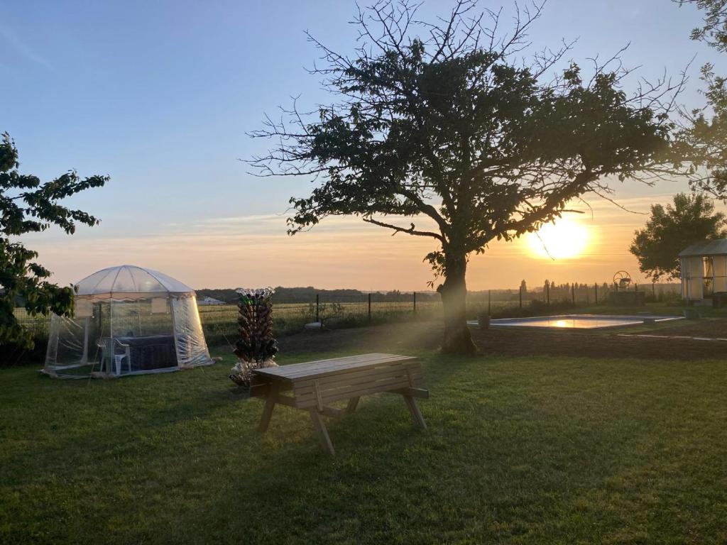 un banc dans un champ avec une tente et un arbre dans l'établissement Le Moulin de la Garde, à Saint-Martial-de-Mirambeau