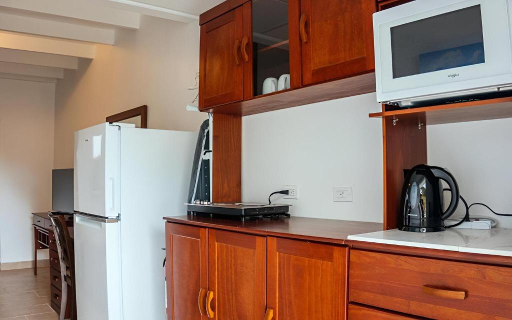 Kuchyň nebo kuchyňský kout v ubytování Saba Arawak Hotel