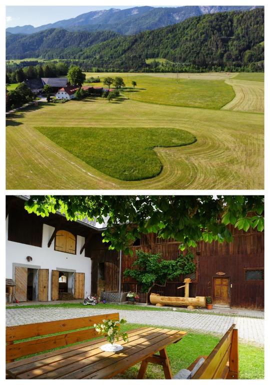 Příroda nedaleko apartmánu