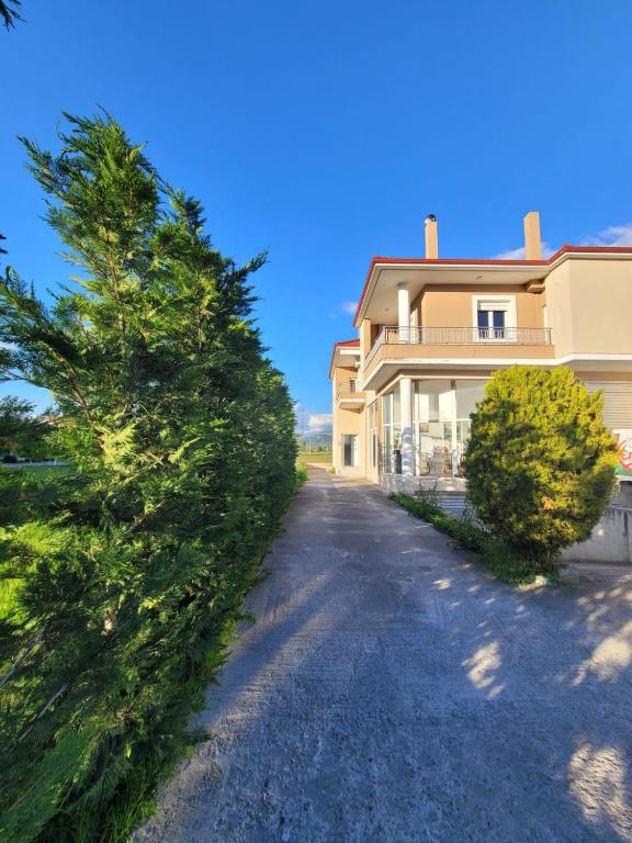 a house with a tree in front of a driveway at House Rooms Korce in Korçë