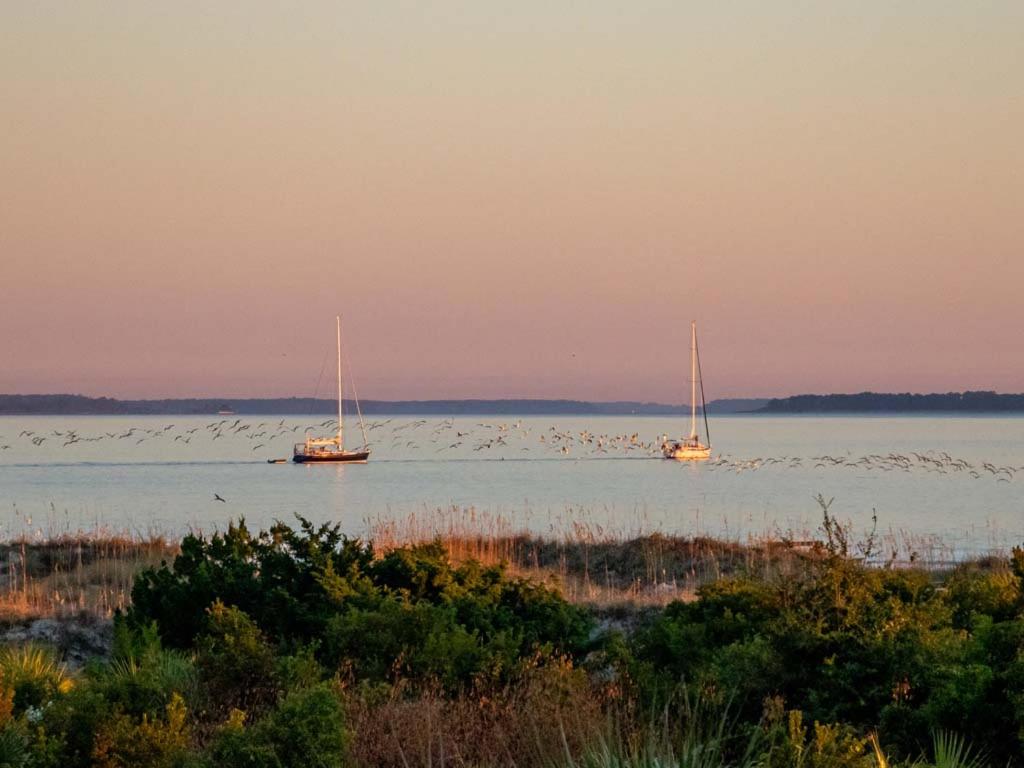 two boats in the water with a flock of birds at Lighthouse Point 9C in Tybee Island