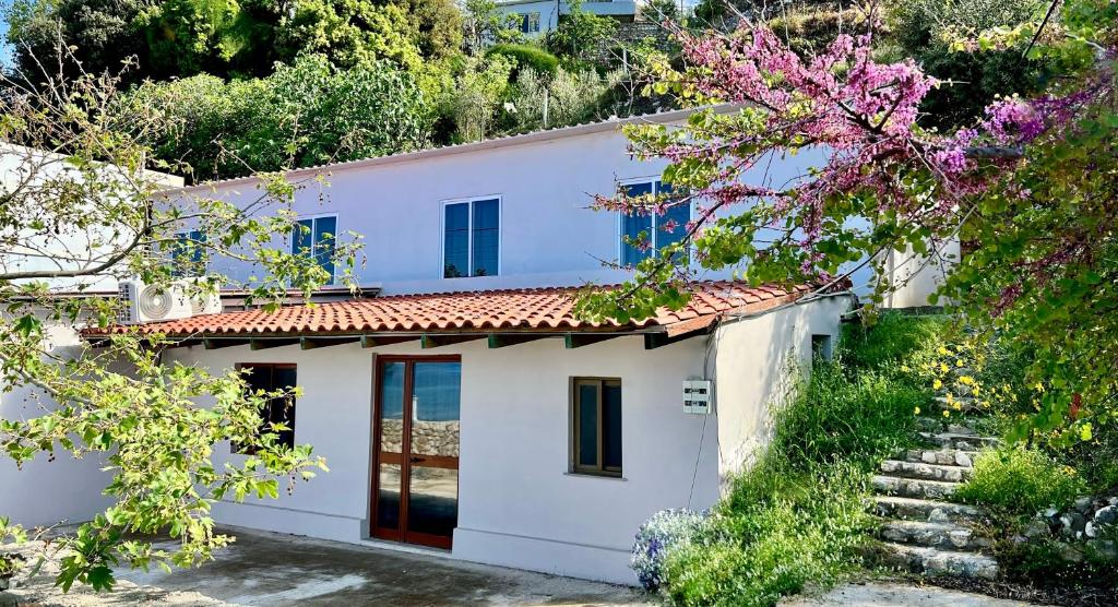Villa Kate