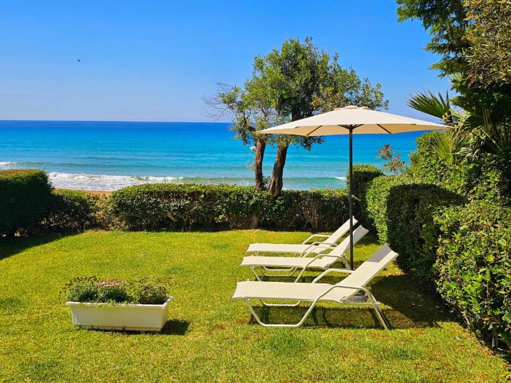a group of lounge chairs with an umbrella and the ocean at Corfu Glyfada Beach Apartment 49 in Corfu