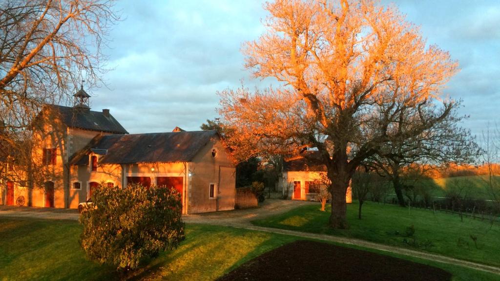 Zahrada ubytování B&B Château de Preuil
