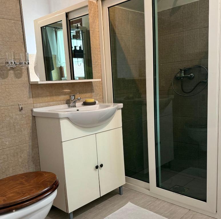 a bathroom with a toilet and a sink and a shower at Villa Rusu in Cîrţa