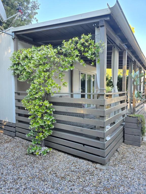 Zahrada ubytování Holiday Homes Lavanda - Biograd na Moru
