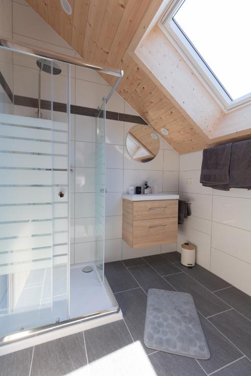 ein Bad mit einer Dusche mit einer Duschkabine aus Glas in der Unterkunft Lewe`s Ferienwohnungen in Dettingen an der Erms