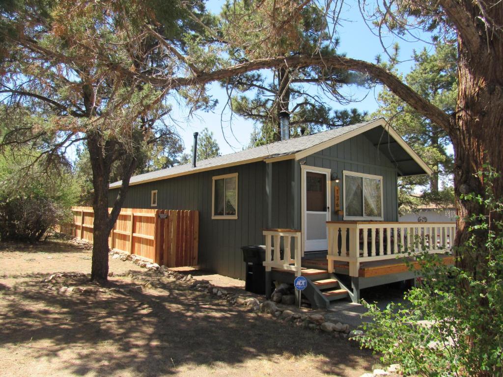 een groen klein huisje onder een boom bij Lazy Pines in Sugarloaf