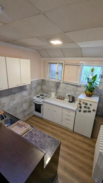 Kuchyň nebo kuchyňský kout v ubytování Apartman Dunja i Miloš
