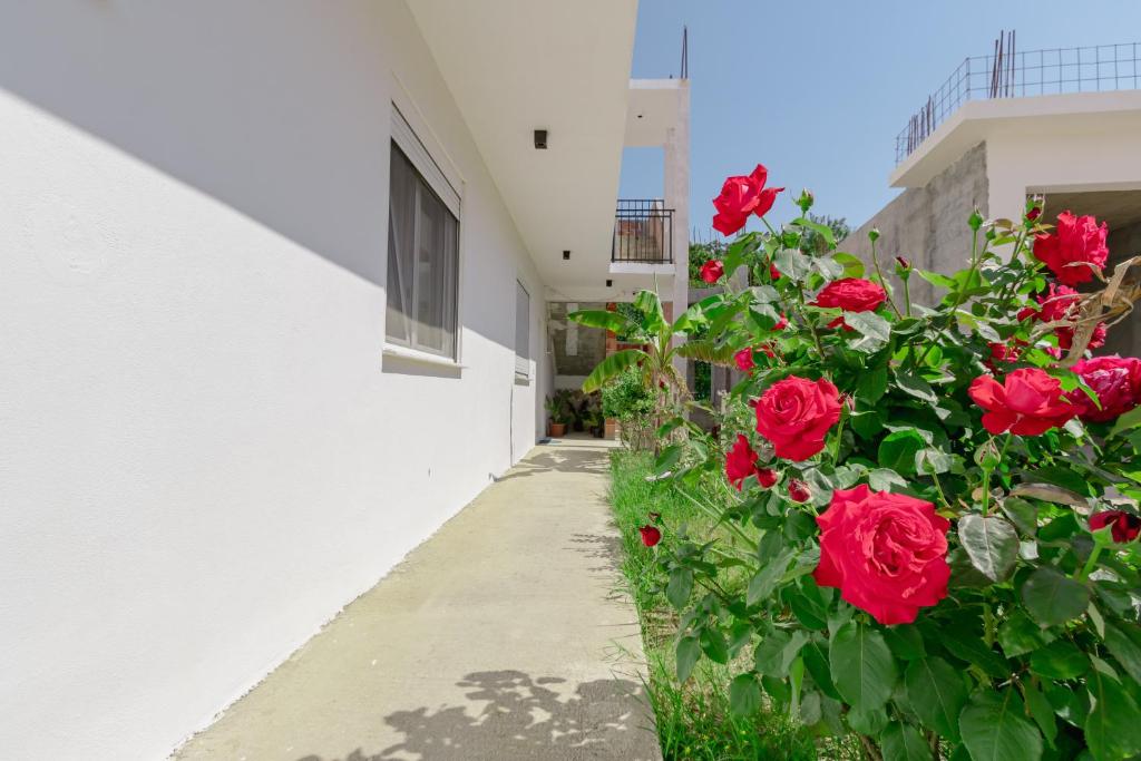 Fotografie z fotogalerie ubytování Medo v destinaci Ulcinj