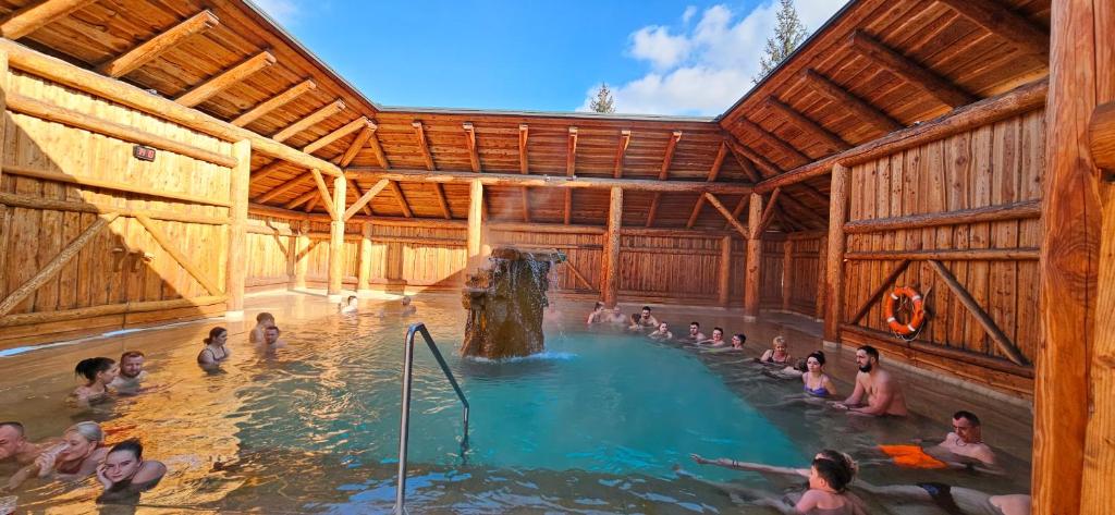 un groupe de personnes dans une piscine dans l'établissement ECO Domek Tatry Ski out Bukowina, à Bukowina Tatrzańska