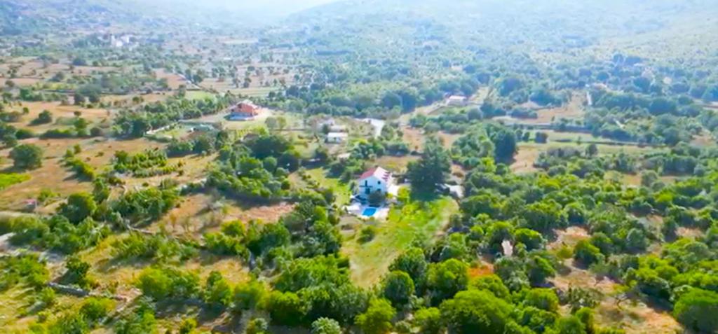 Villa Bacio with new heated pool