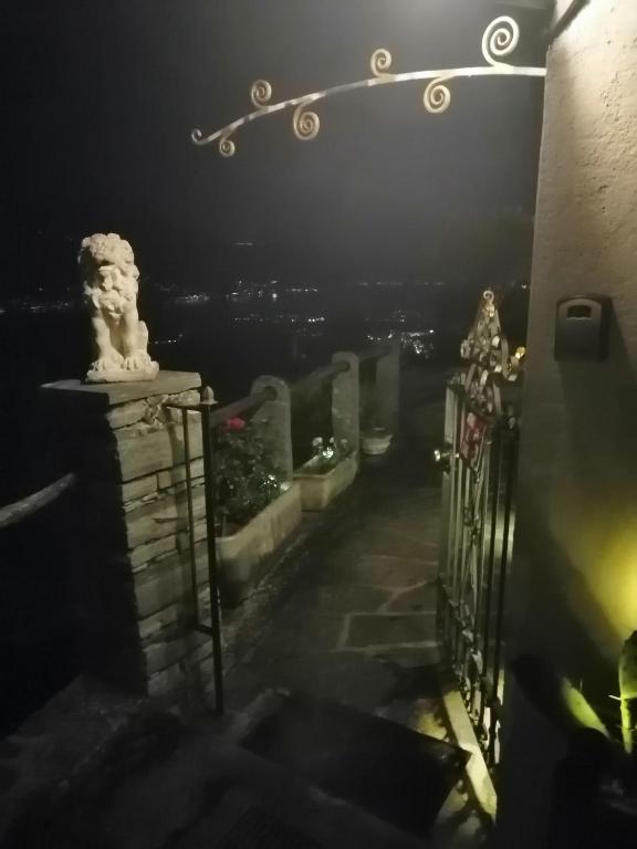 Sonnenstrahl - Resim 27