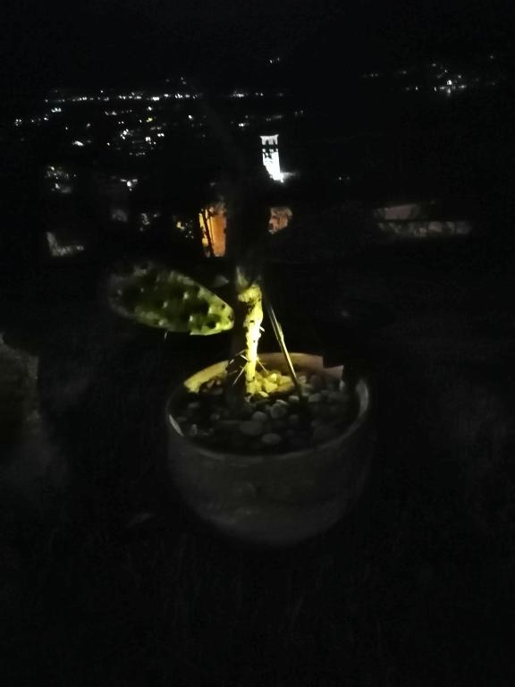 Sonnenstrahl - Resim 18