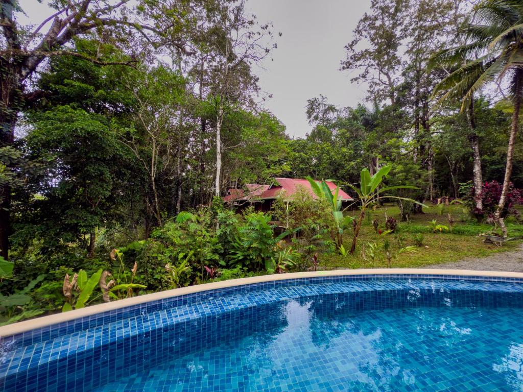 Piscina di Toucan Hill Lodge o nelle vicinanze