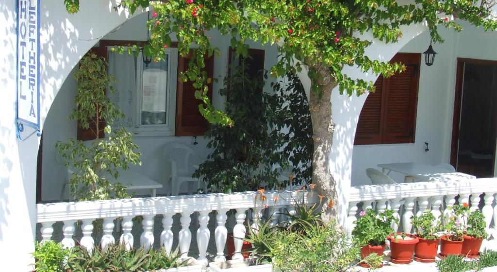 Zahrada ubytování Hotel Eleftheria