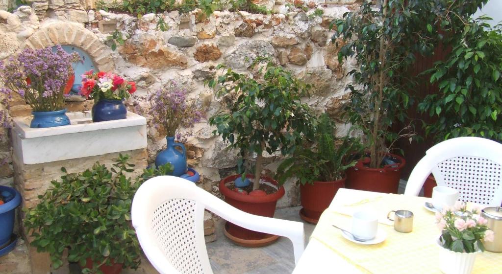Zahrada ubytování Hotel Eleftheria