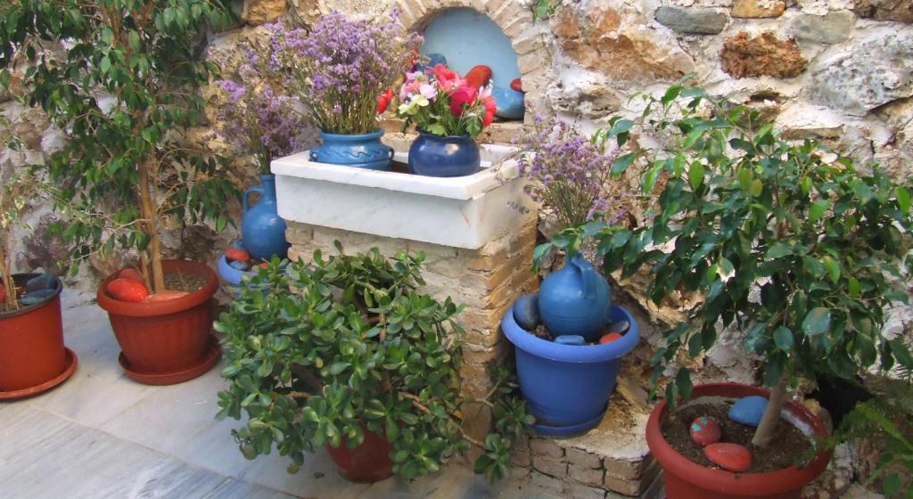 Zahrada ubytování Hotel Eleftheria