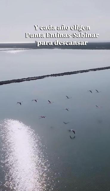 Príroda v okolí penziónu