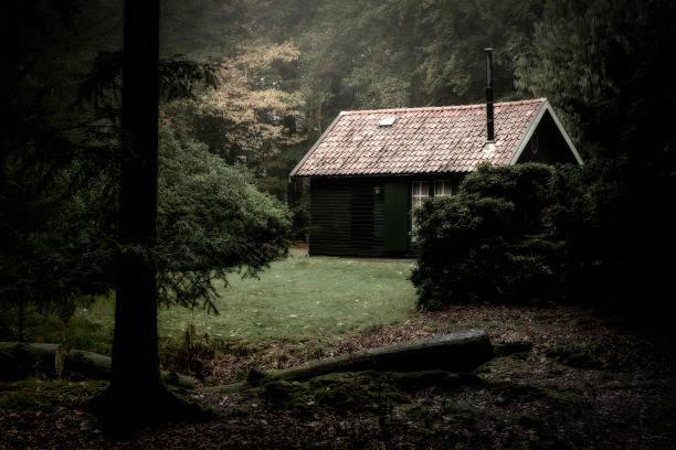 Zahrada ubytování The Cabin in the Woods