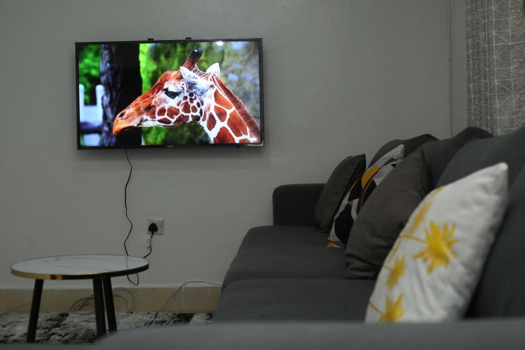 TV a/nebo společenská místnost v ubytování Cosy 1 bedrooms, Hells Gate Moi South Lake Naivasha