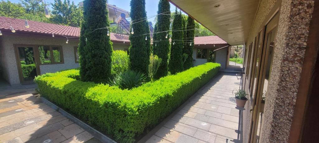 Zahrada ubytování DALLAR Guest House
