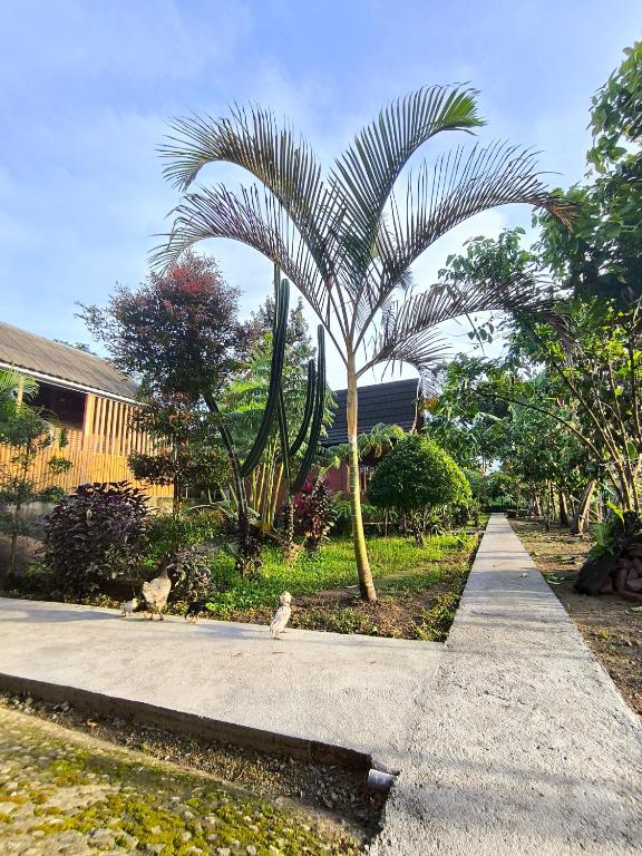 Zahrada ubytování Tetebatu Valley Bungalows