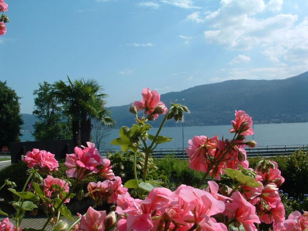 - un bouquet de fleurs roses avec vue sur un lac dans l'établissement Residence Tre Ponti, à Verbania